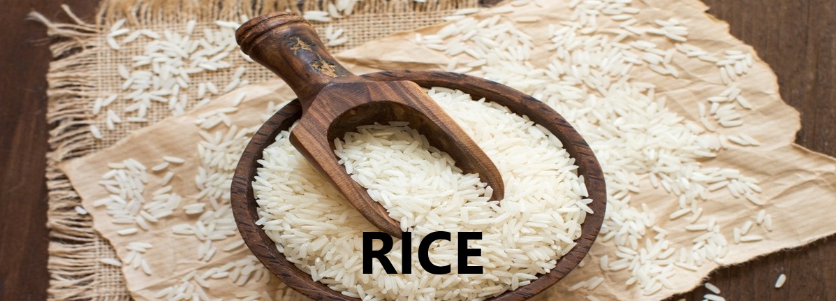 Rice